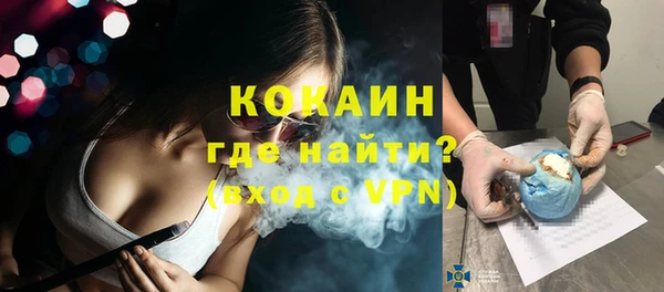 индика Вязники
