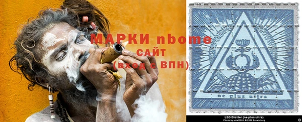 индика Вязники