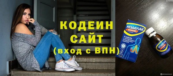 индика Вязники